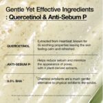 HEARTLEAF QUERCETINOL CLEANSING FOAM 150ML - Image 5