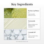 Dr.Althea 345 Relief Cream | Moisturizer for Soothing Recovery and Blemish Care with PDRN & Niacinamide | Korean Vegan Skin Care for All Skin Types - Image 4